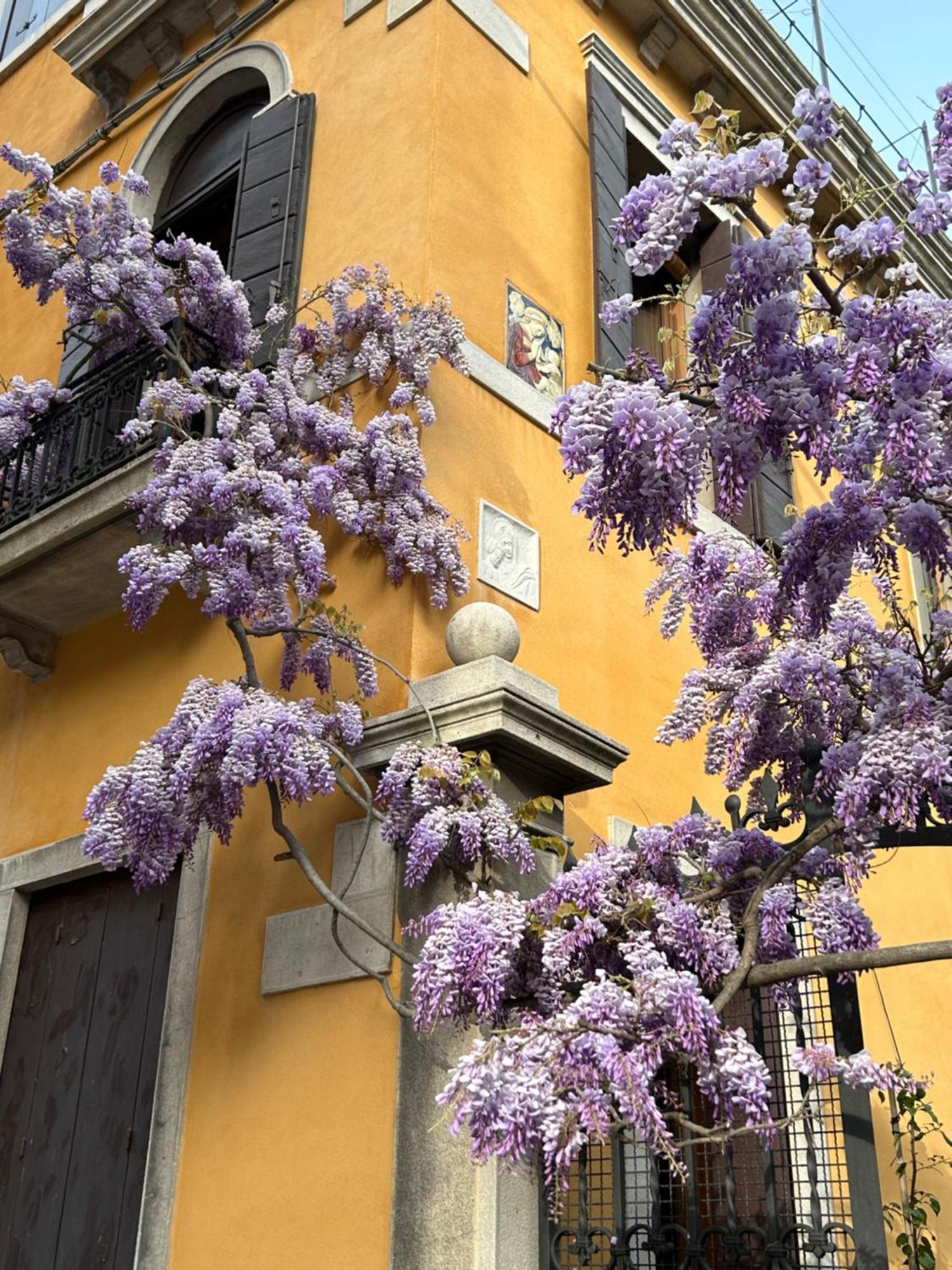 ホテル Carbonaia Venezia エクステリア 写真
